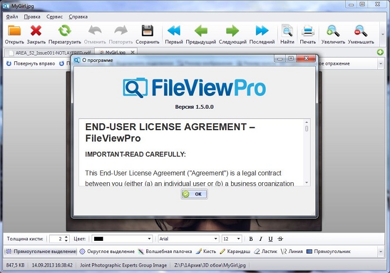 fileviewpro free activation key